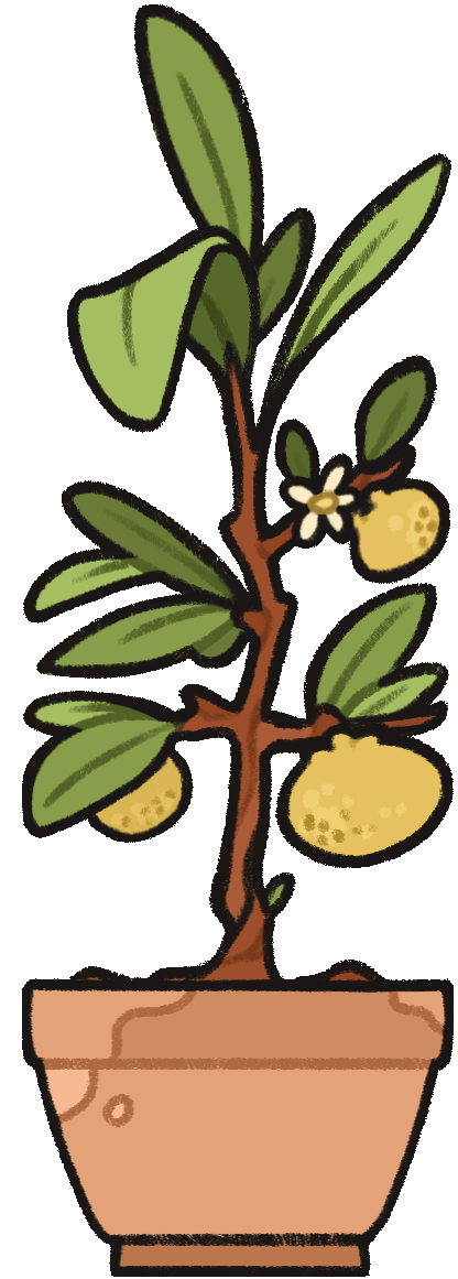 YUZU.gif