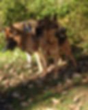 BozemanNatalie_edited