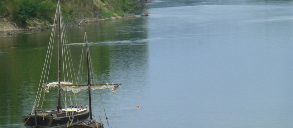 Gabares de Loire