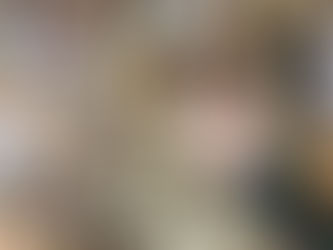 Les multiples visages du palmier dattier 