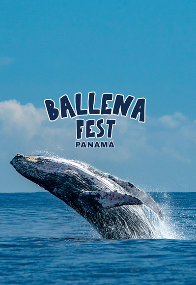 ballenaweb.png