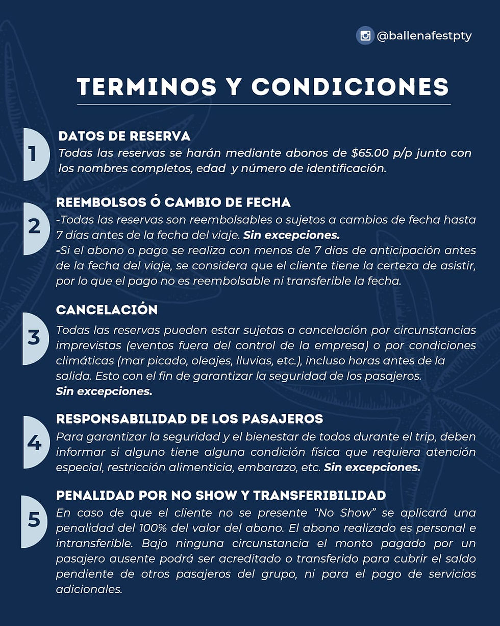 termionos y condiciones ballena fest