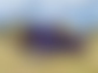 U14 Fatima 7s champions!