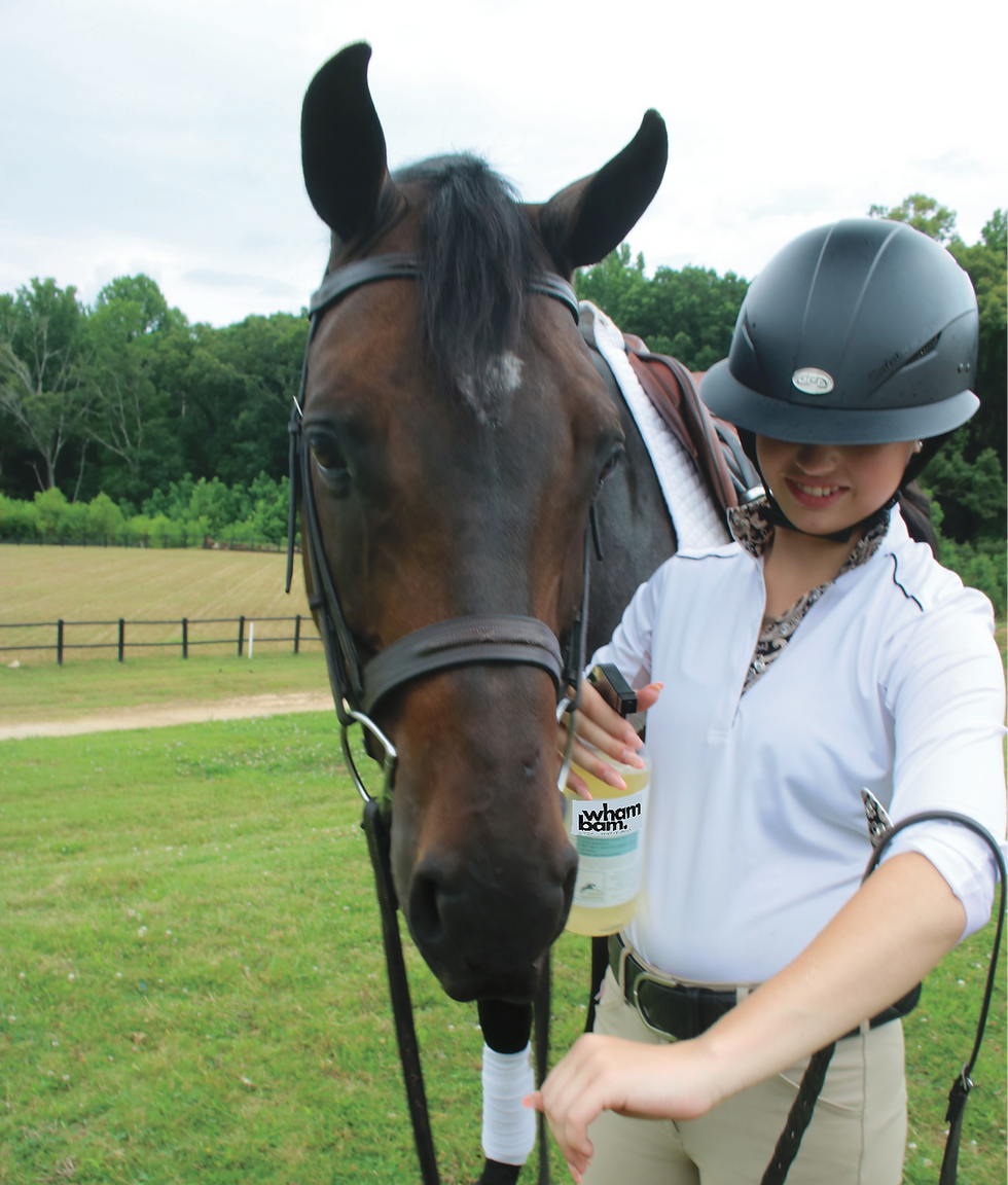 Thumbnail: Wham Bam. A Coat Spray Repellent