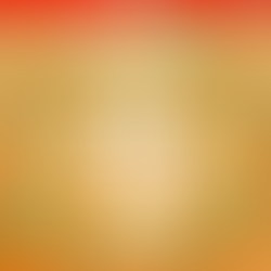 ChatStick x Royal Beauty Thailand: ถอดรหัสความสำเร็จในการสร้างสรรค์มาสคอตส้มสุดน่ารัก