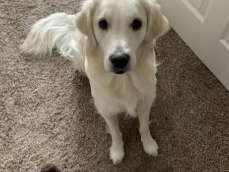 “He is the absolute best friend I could ever ask for!!”