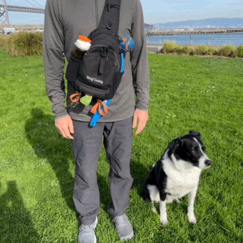 Treat training pouch.GIF