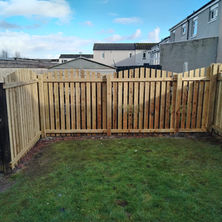 New fence