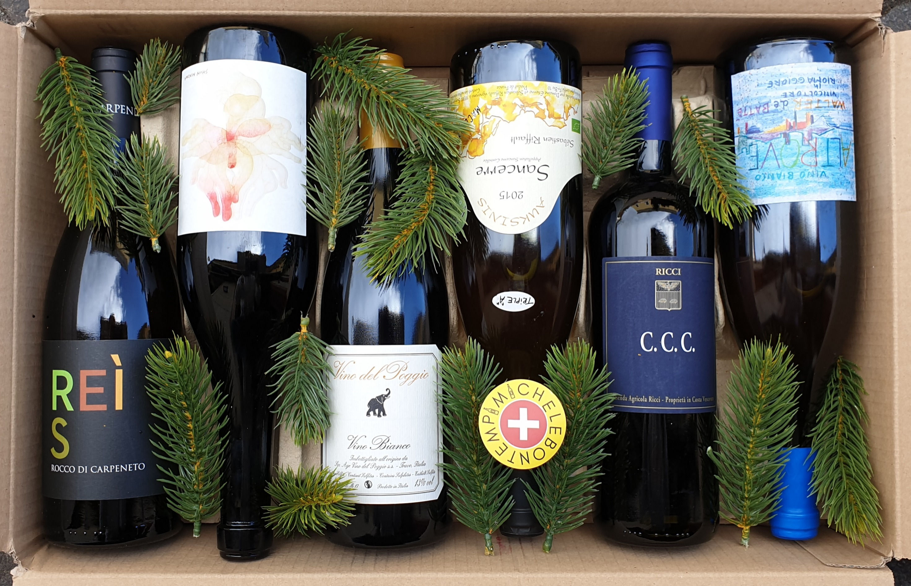 MISTERY ORANGE collection n.1