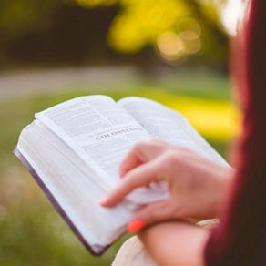 The Battle on the Back Porch