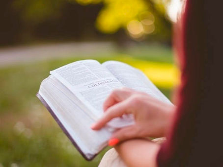 The Battle on the Back Porch