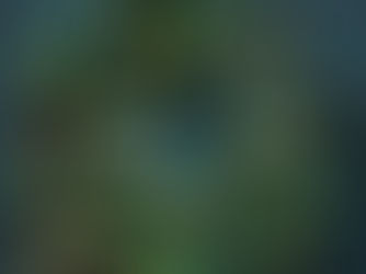 Parish Bulletin December 4th 2022