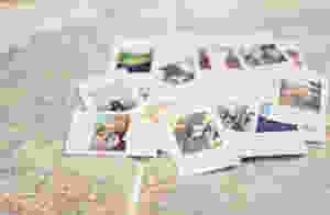pexels-photo-185933.jpeg