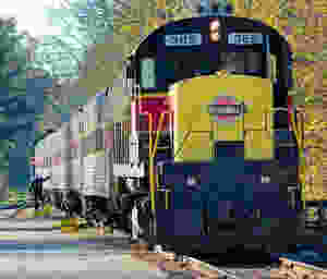 black and yellow train near green trees during daytime