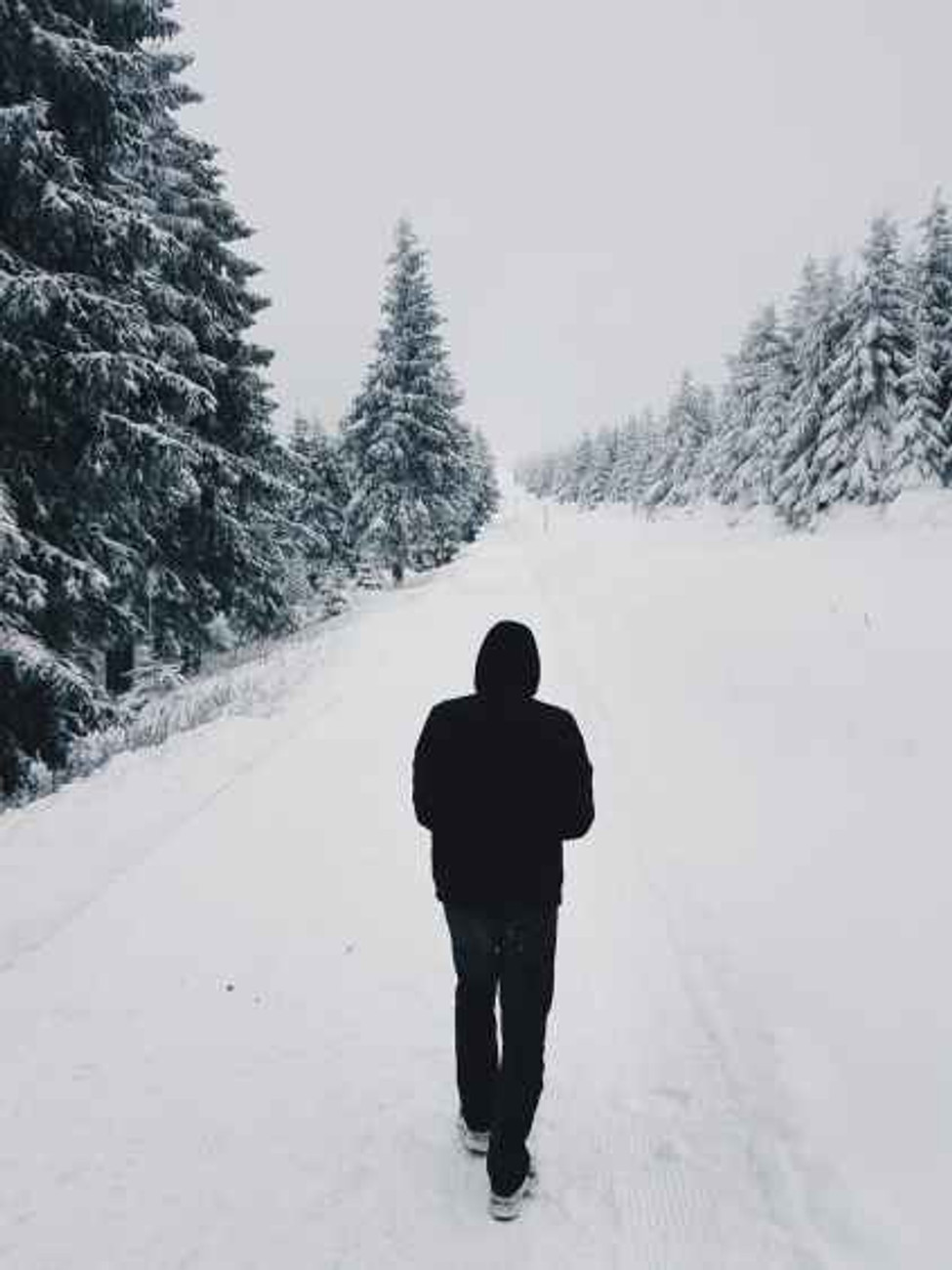 person wearing black hoodie while walking on snow covered road near pine trees