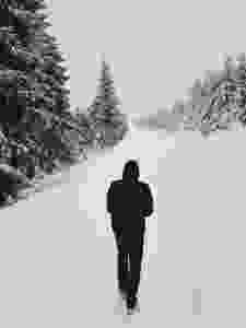person wearing black hoodie while walking on snow covered road near pine trees