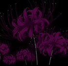 imagen_2026-03-05_213749007.png