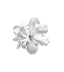 descarga__67_-removebg-preview.png