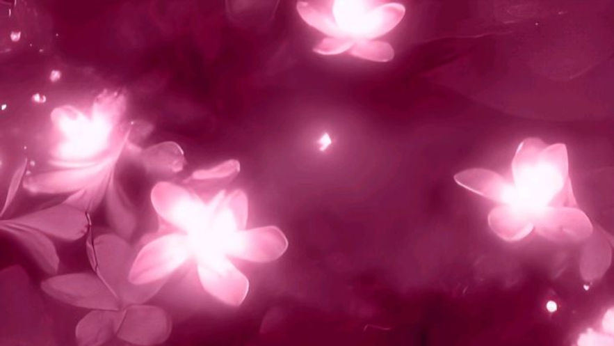 17d45666-f428-4ea8-8c09-5a77255a2000.jpeg
