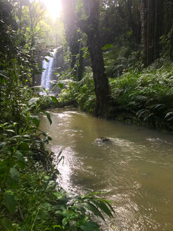 Falls from a distance