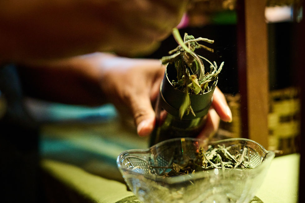 Eye-level view of glass jars filled with dried flowers, citrus peel, mint, and spices for tea blending.
