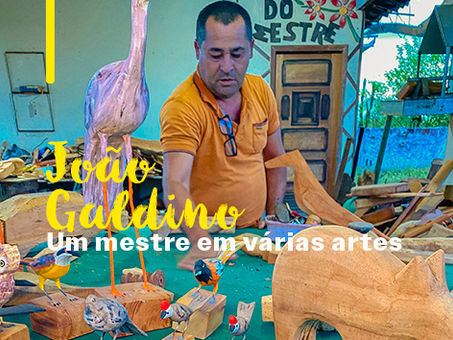 João Galdino - Um mestre em várias artes nas mãos de Galdino, a madeira ganha vida, se transformando em pássaros, instrumentos musicais e mamulengos.