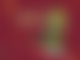 Confira a programação do XIV Virtuosi, o evento acontece entre 30 de julho a 03 de agosto, na igreja Matriz de Sant'Ana, em Gravatá, e é aberto ao público.