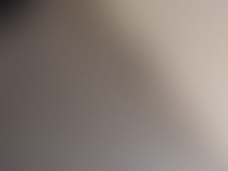 (✿✪‿✪。)ノコンチャ♡