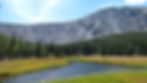U.S. meadow.JPG