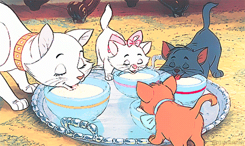 The-Aristocats-Drinking-Milk-83588.gif