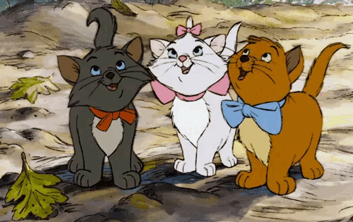 7c43ac5bb410147273af69be5c4e2715.gif