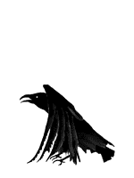AAAcorvooanimados Corvo 3.gif