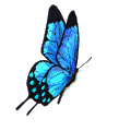 106.gif