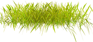 AAAAA86654_b7f98.png