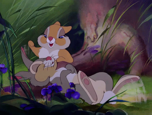 22759798c06c5525614d4293eee403ea47afd459