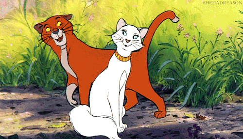 original.gif