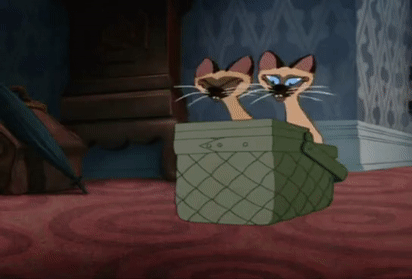 GroundedFixedAntarcticfurseal-size_restr