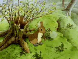 4145736cf3caf4e1310737cec023233e.gif