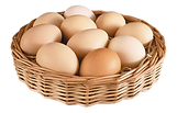 20180827-ovos-cesta.webp