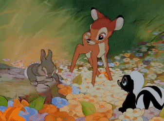 AppropriateWaryFrillneckedlizard-size_re