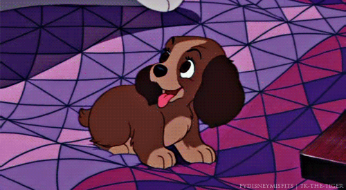 72eb607efc1bbbe188e77e2a97777d82 (1).gif