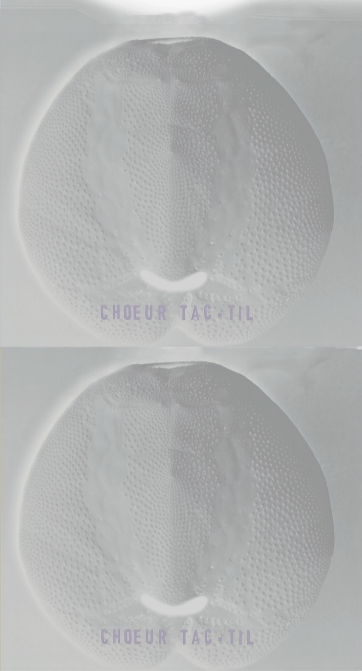 choeur tactil album-rv_edited_edited_edited_edited_edited_edited_edited_edited_edited_edit