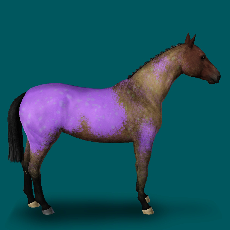 HLEC Appaloosa Roan - Combined right