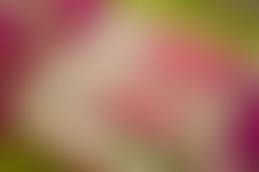 Ashley's "A" Mitzvah