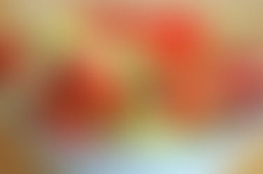 Receitas para o verão: