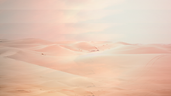 Untitled design.png