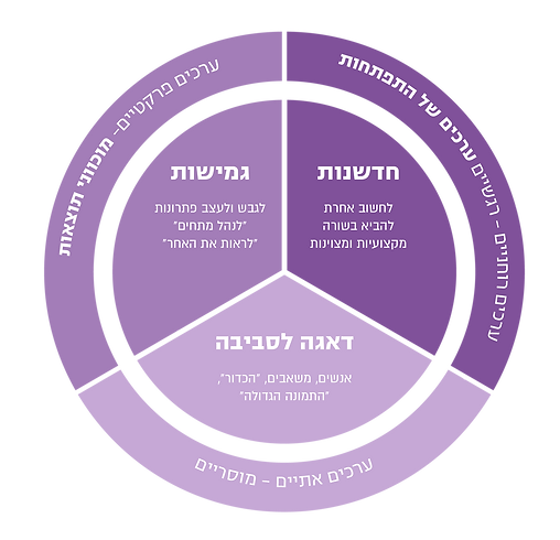מודל הערכים המקצועיים של אור אריאלי