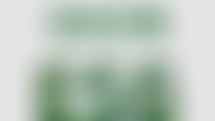 12月可持续活动合集