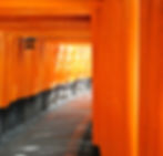 Tori Gate