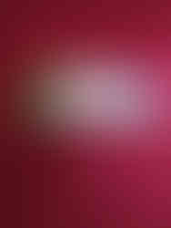 12 pieces box Two fold Promotional Umbrella with custom logo printing